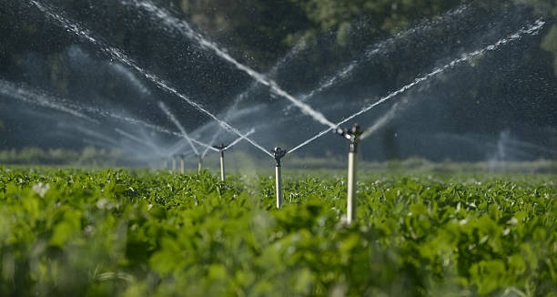 Top-5-Benefits-Of-Drip-Irrigation-awdjmsk231