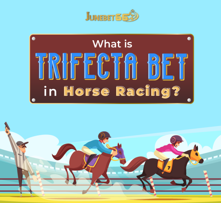 Horse-betting-racing-04